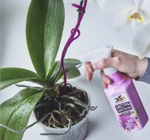 Набор для орхидей: Эликсир спрей Экстра цветение, 400мл, и Эликсир Монодоза прикорневая 2х10 мл - Фото 3