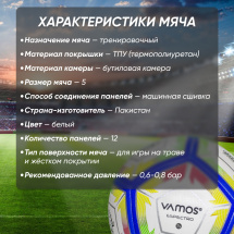 Мяч футбольный VAMOS ESPECTRO № 5 тренировочный, бело-сине-желто-красно-зеленый - Фото 9